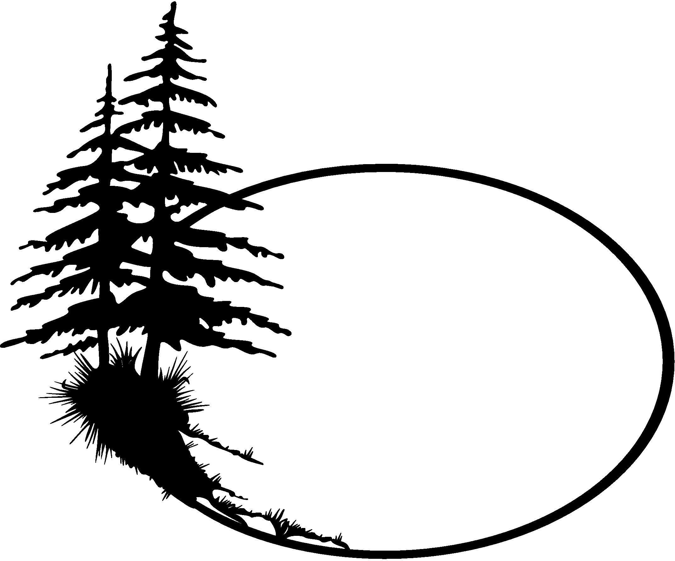 Douglas fir tree silhouette clipart