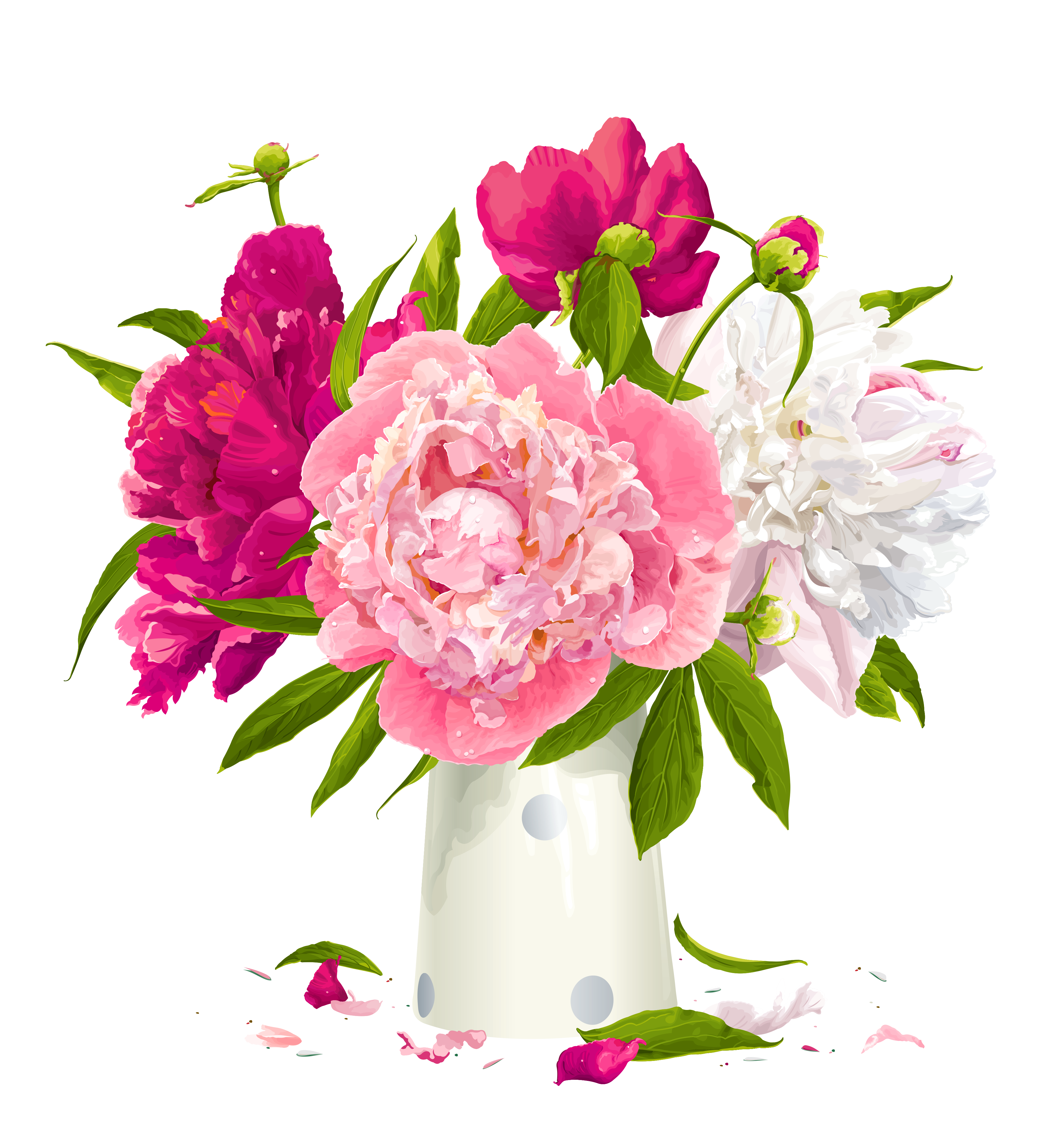 peony illustration free download