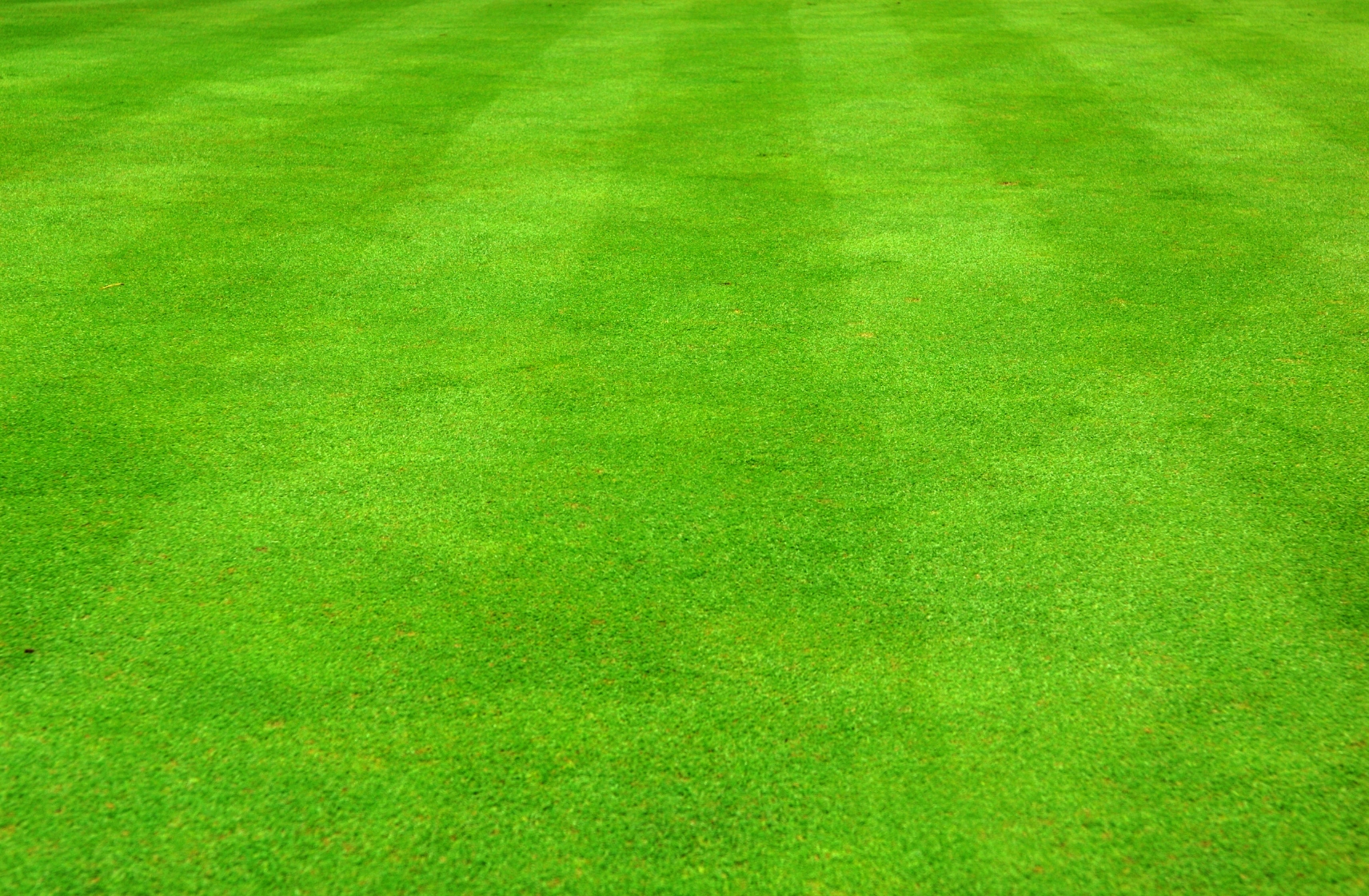 Free Football Grass Cliparts, Download Free Football Grass Cliparts png