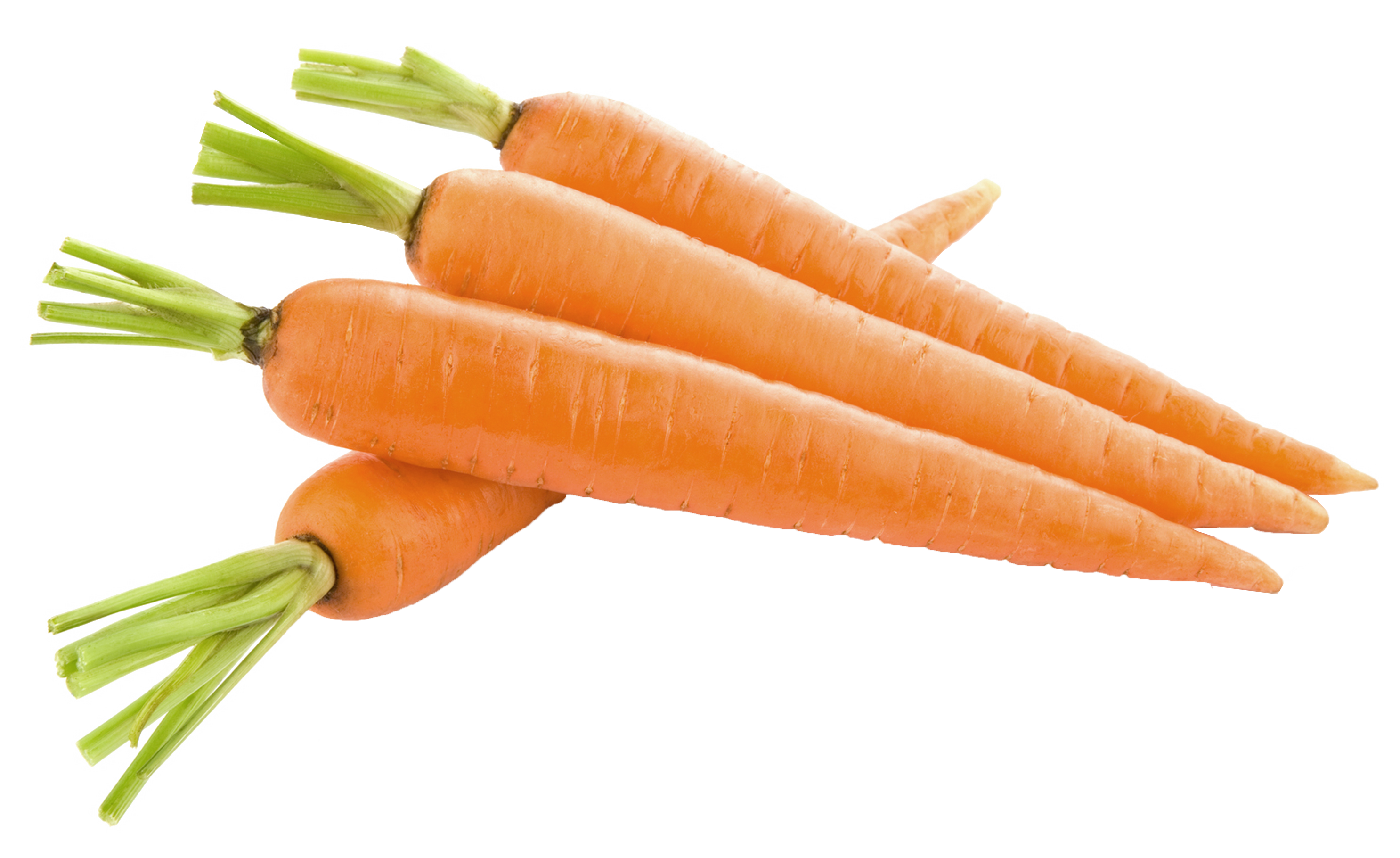Carrots Picture 