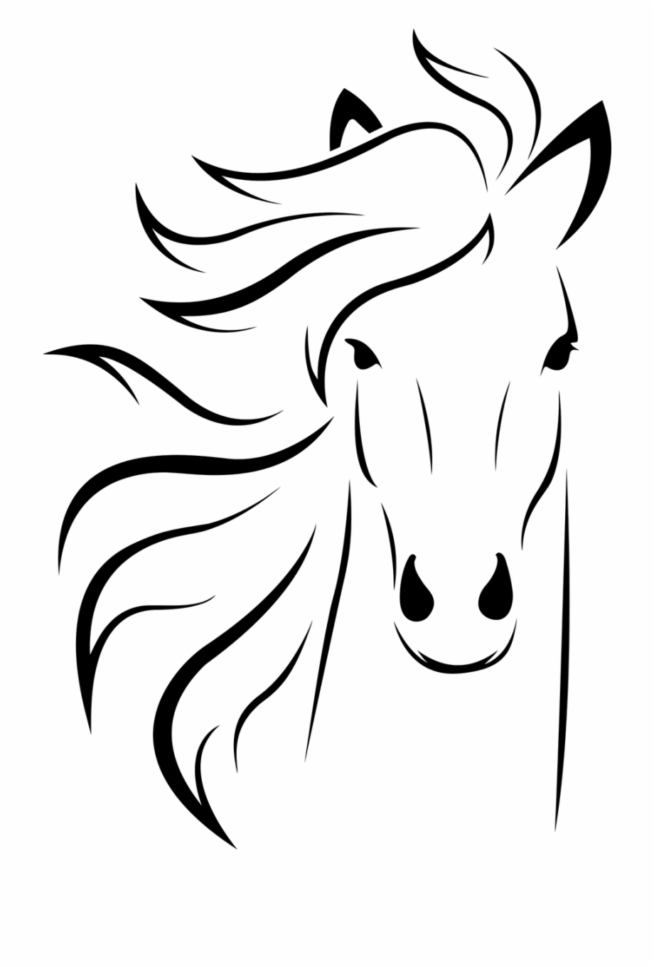 drawing of a horse face
