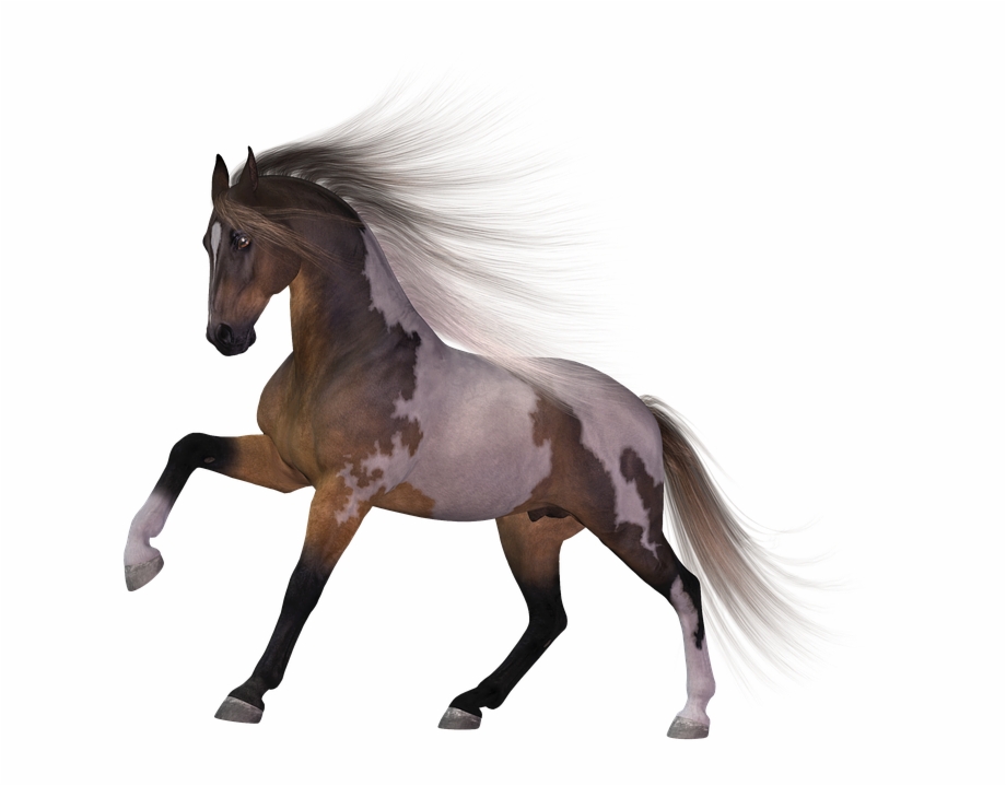 Download Horse Png Transparent Images Transparent Backgrounds Mustang