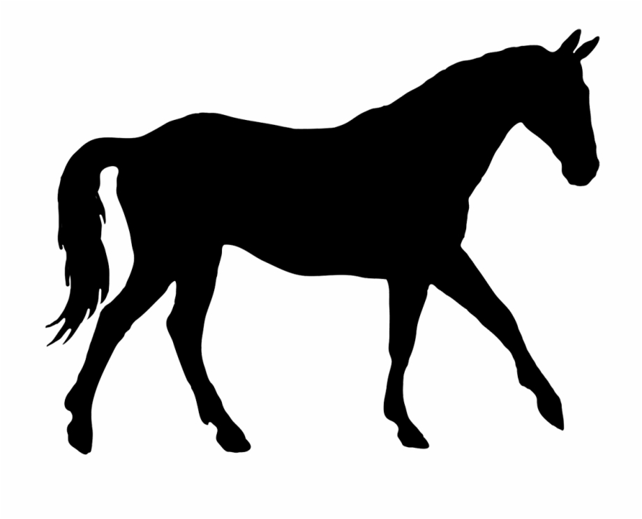 Silhouette Of Elegant Horse Horse Silhouette