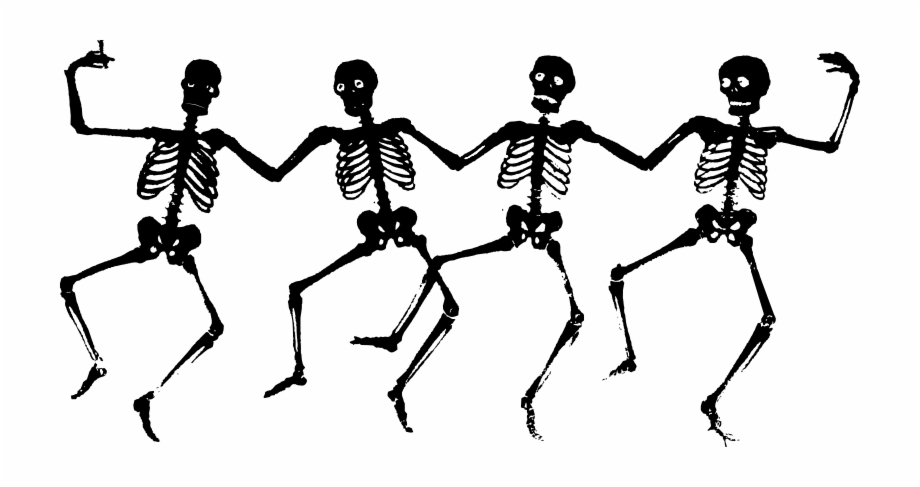 Download Halloween Skeleton Png Transparent Image For Skeletons