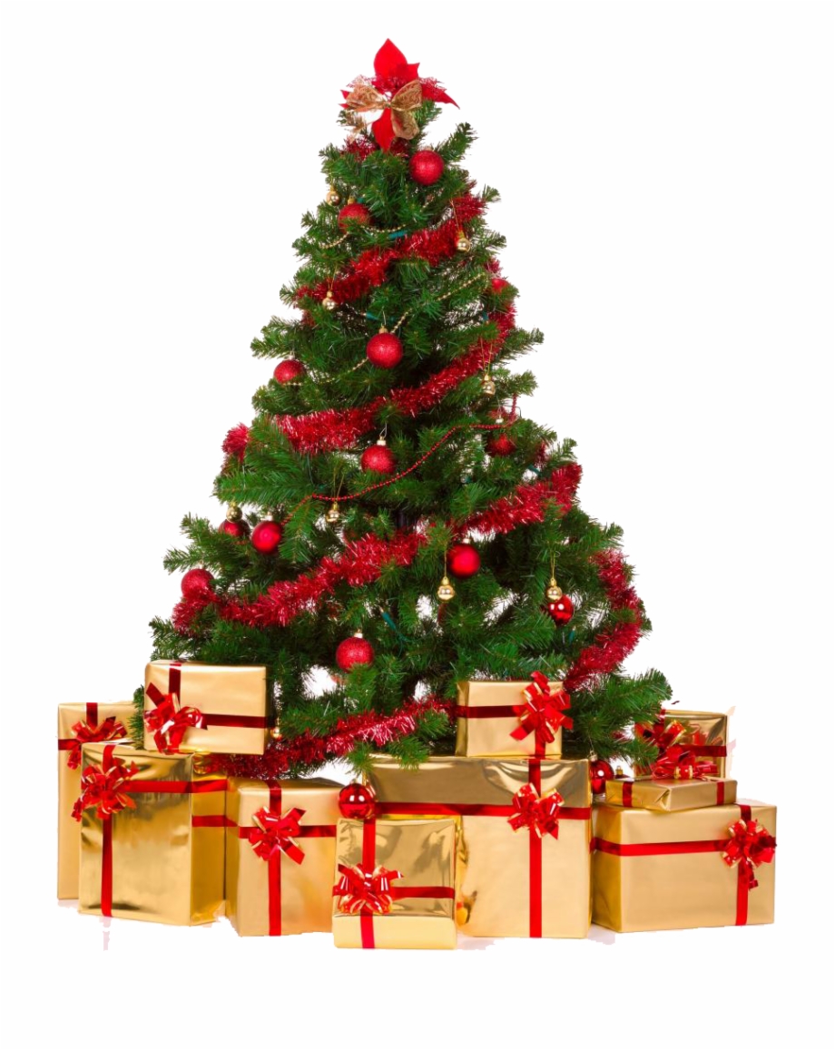 Christmas Tree Png Transparent