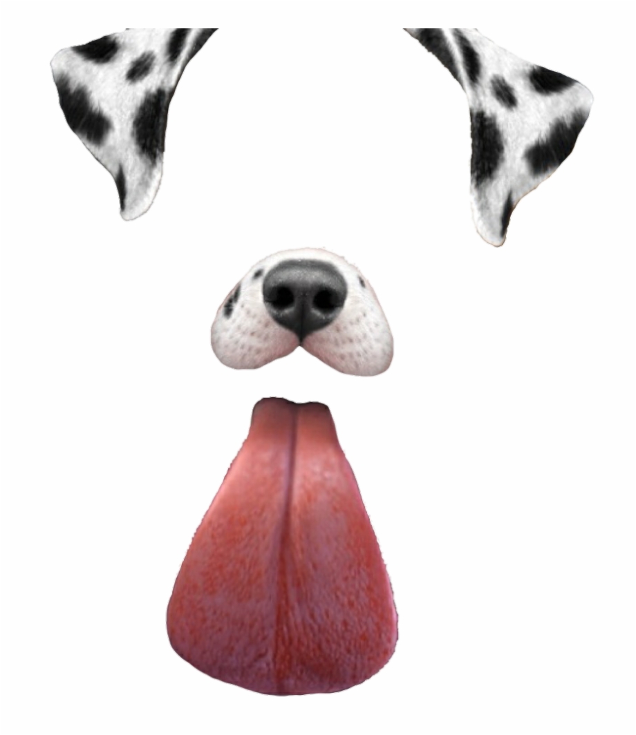 Snapchat Png Transparent Snapchat Dog Filter Tongue