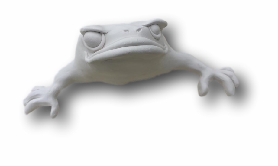 Custom Don Juan Frog Art Toad