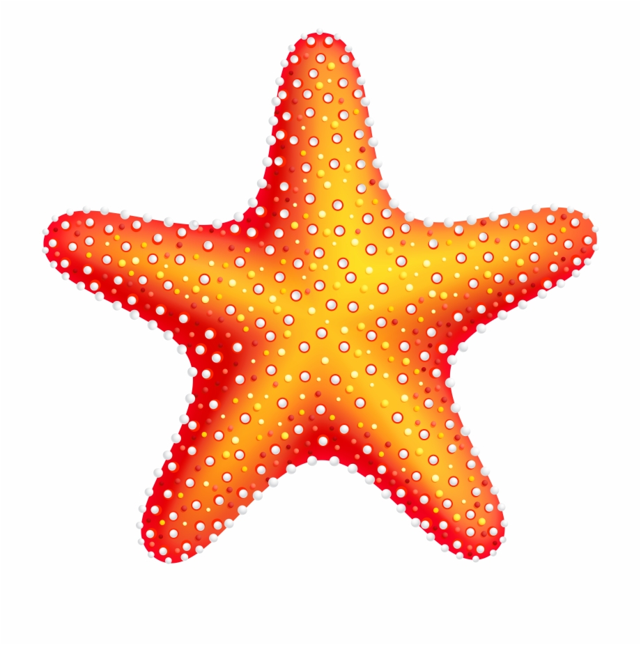 Starfish Clip Art Web Clipart Starfish Clipart