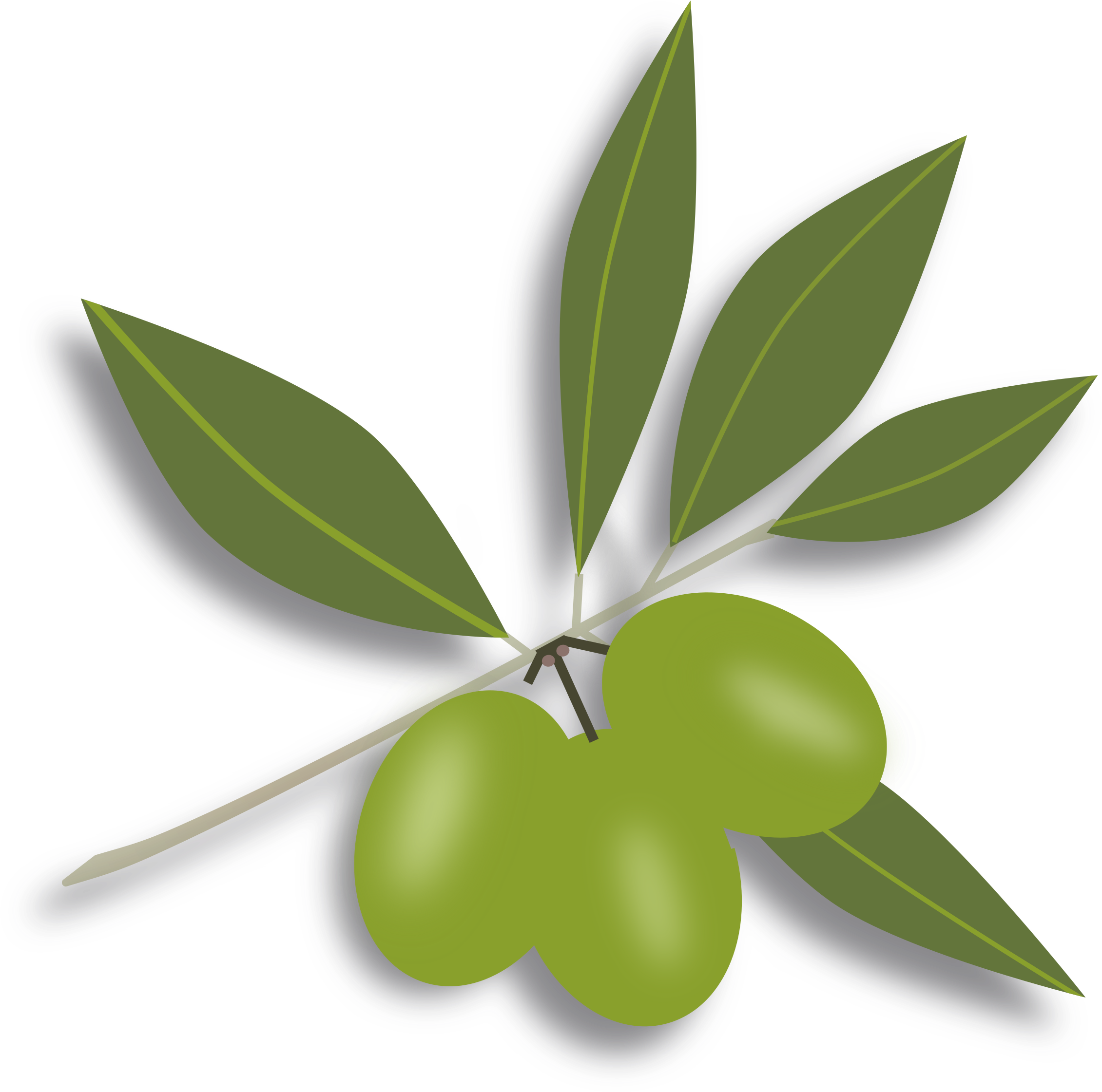 Clipart Green Olives Olive Clipart