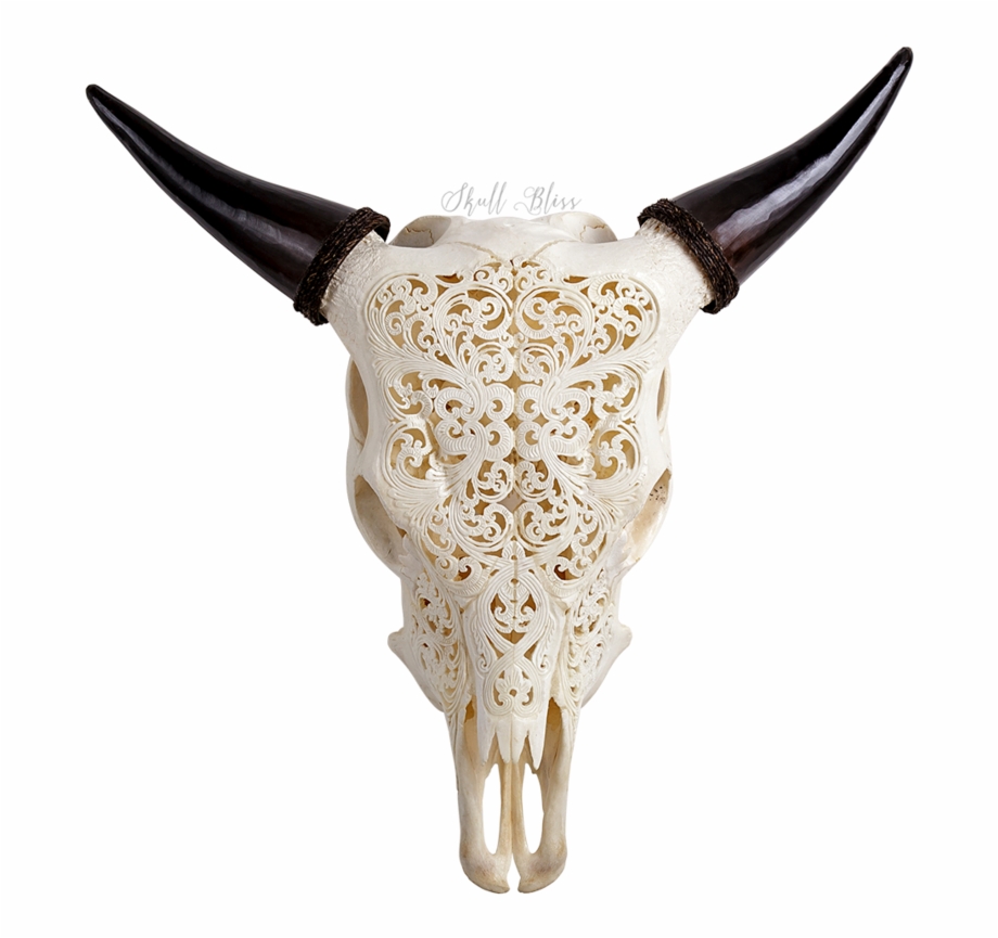 Choose From Over 75 Different Carved Animal Skull