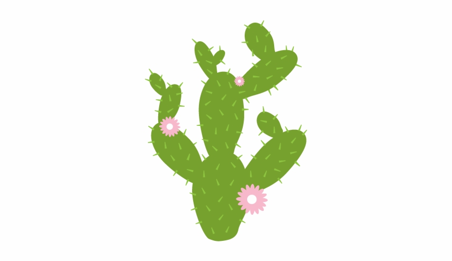 Clipart Download Prickly Pear Cactus Clipart Prickly Pear