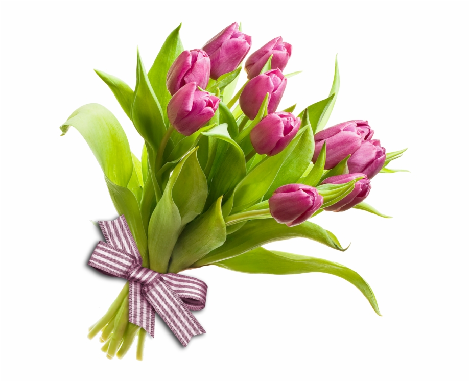 Bunch Of Flowers Bunch Of Flowers Png