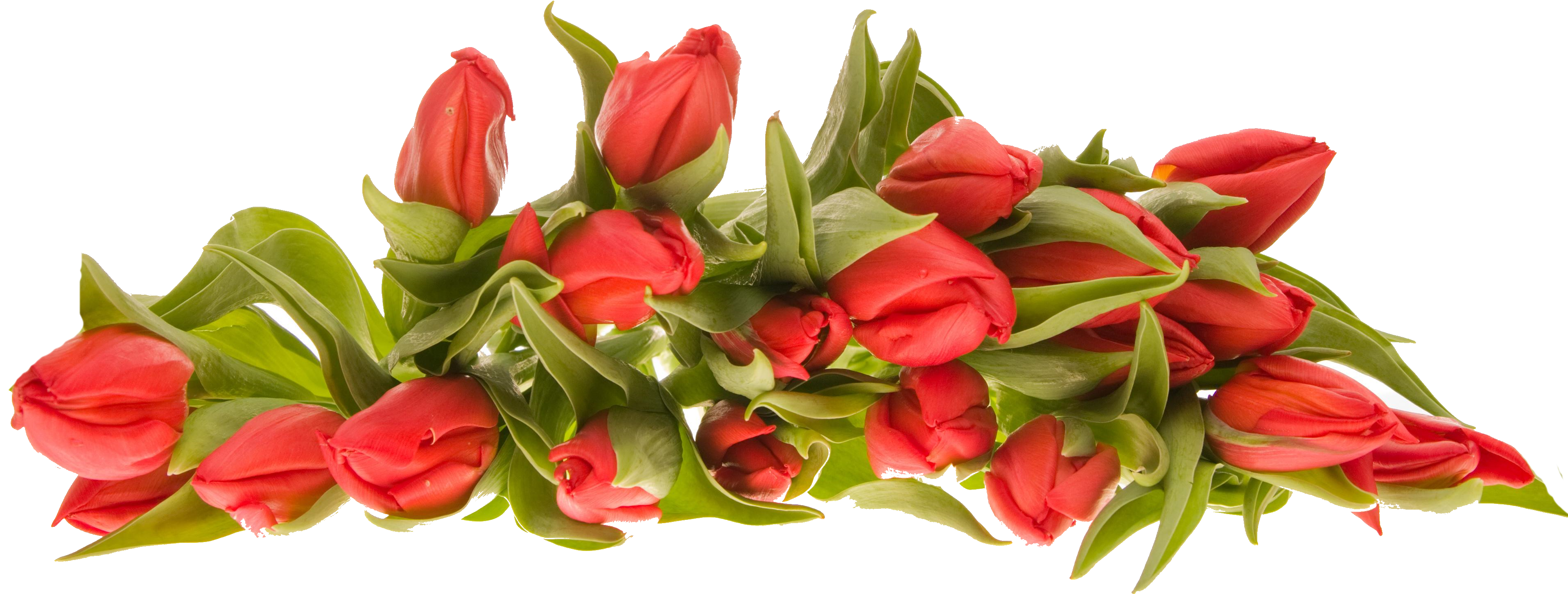 Free Bunch Of Flowers Png, Download Free Clip Art, Free Clip Art on