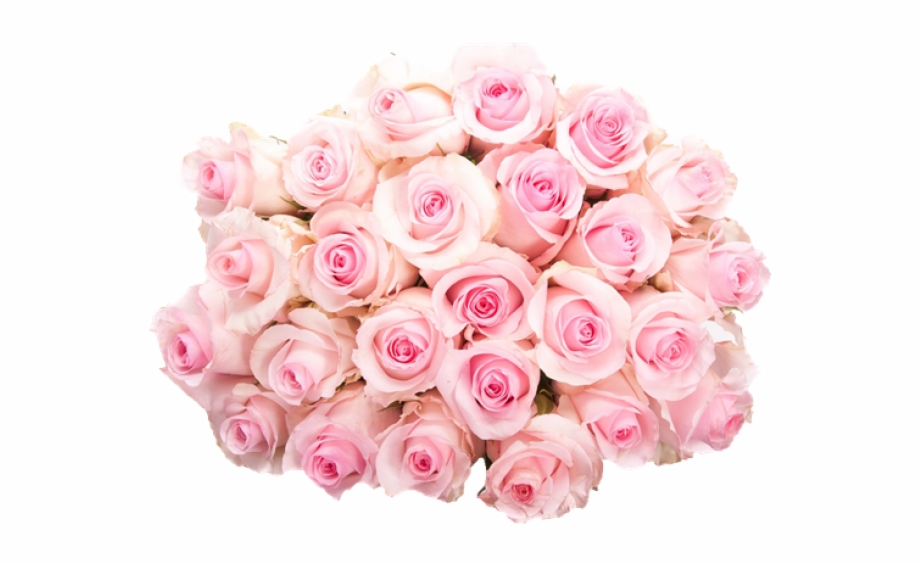 Pink Roses Flowers Bouquet Png Pic Transparent Pink