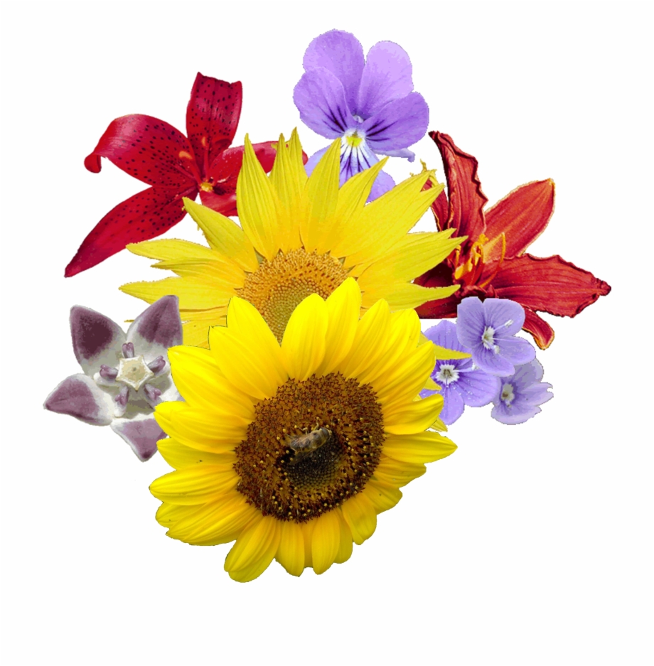 Bouquet Of Flowers Png Images Free