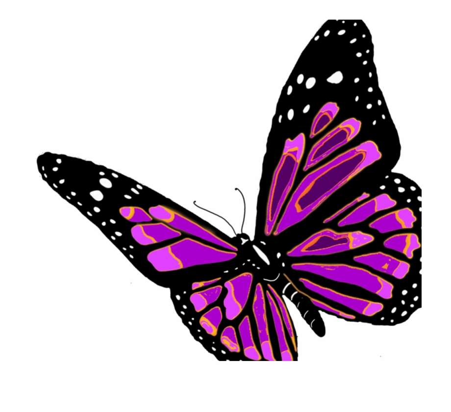 Butterfly Flying Butterfly Images Clipart