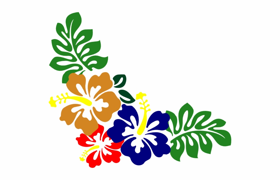 Script Fu Bw Border V2 Hawaiian Hibiscus - Clip Art Library.