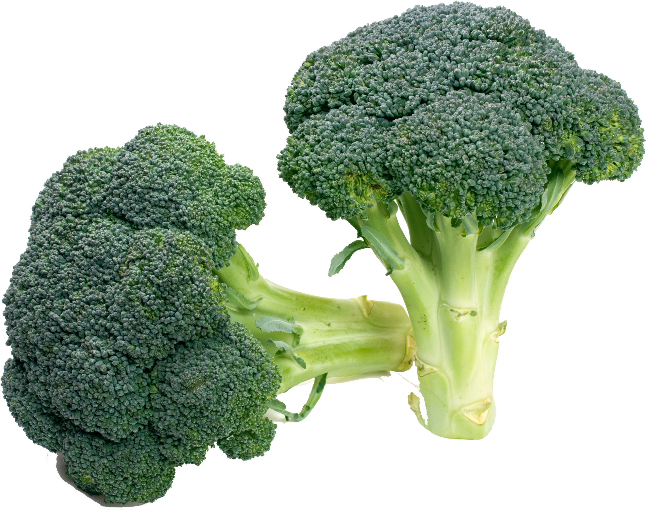 Broccoli
