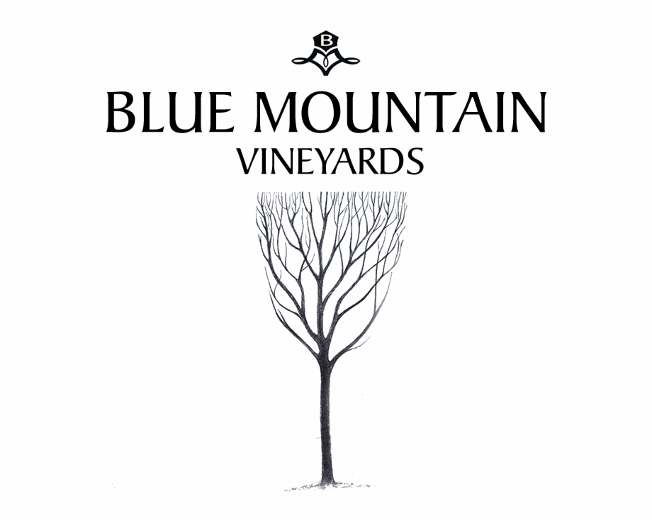 Blue Mountain Vineyards Colorado