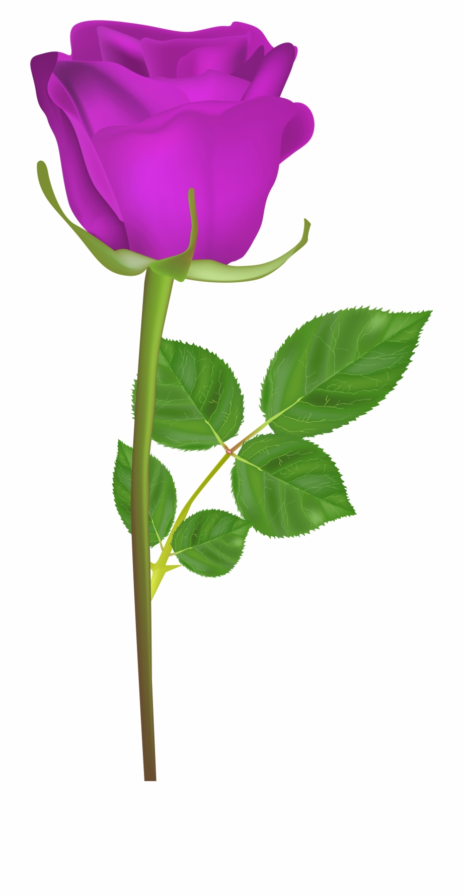 Rose With Stem Purple Png Clip Art Imageu200b