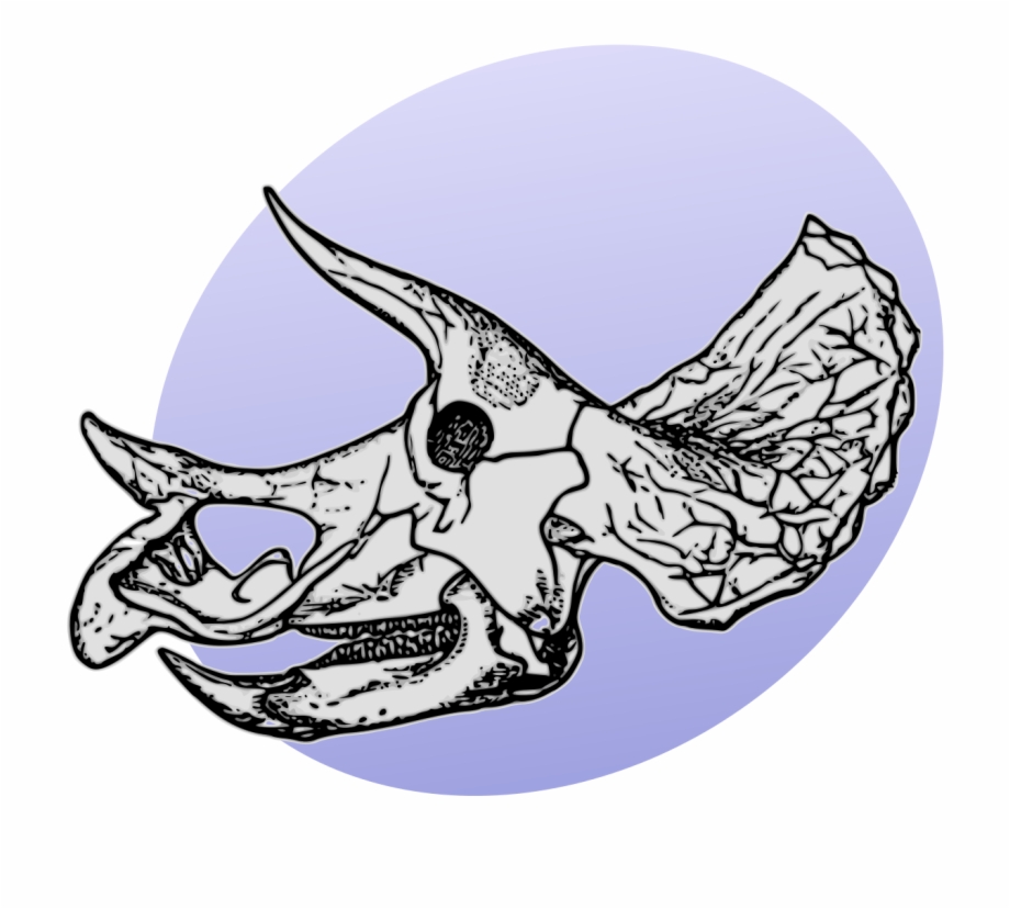 Triceratops Skeleton Drawing
