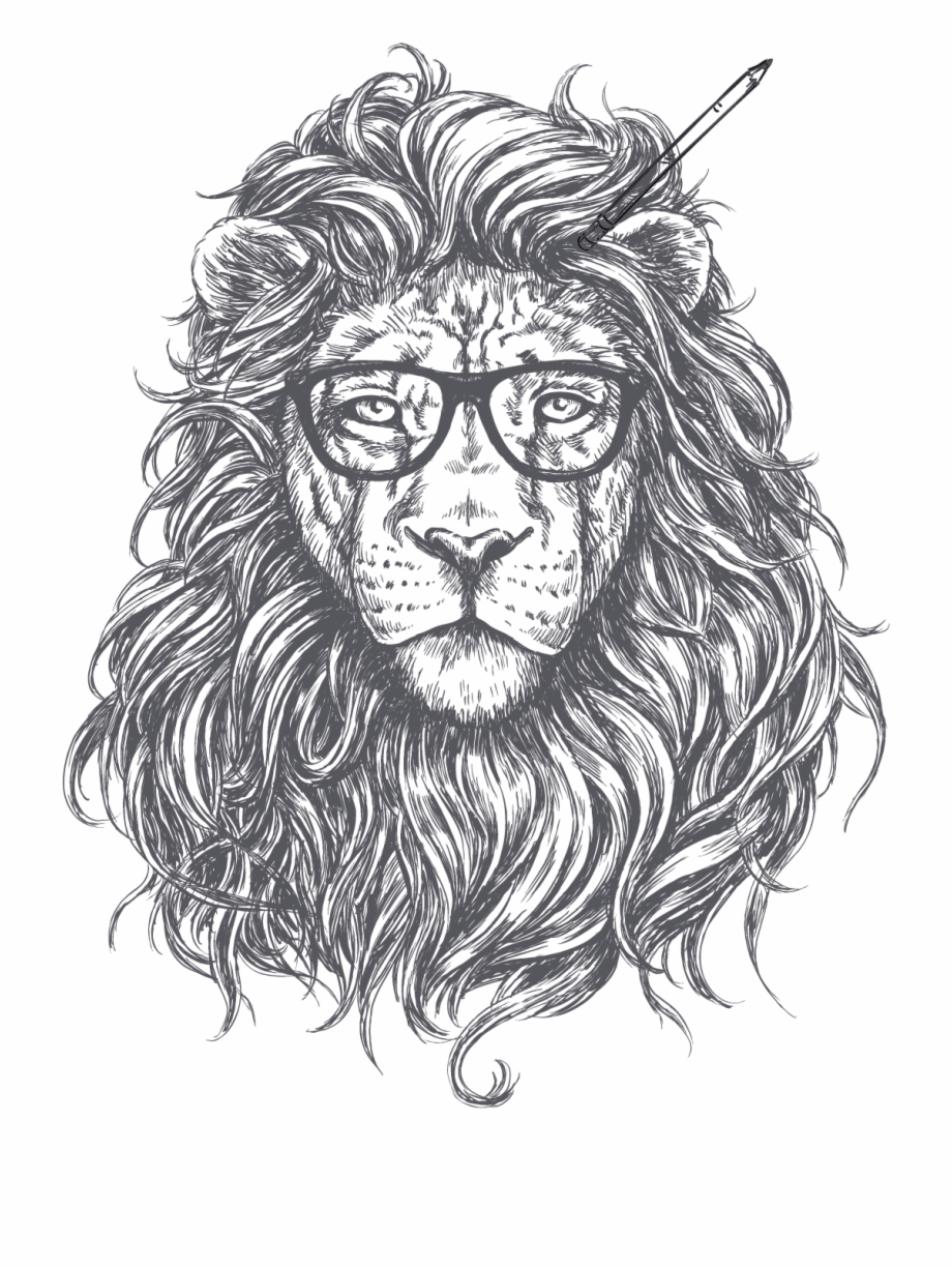 sketch lion png
