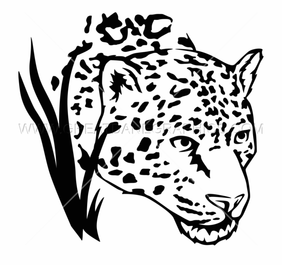 Jaguar Head Drawing At Getdrawings Jaguar Black And
