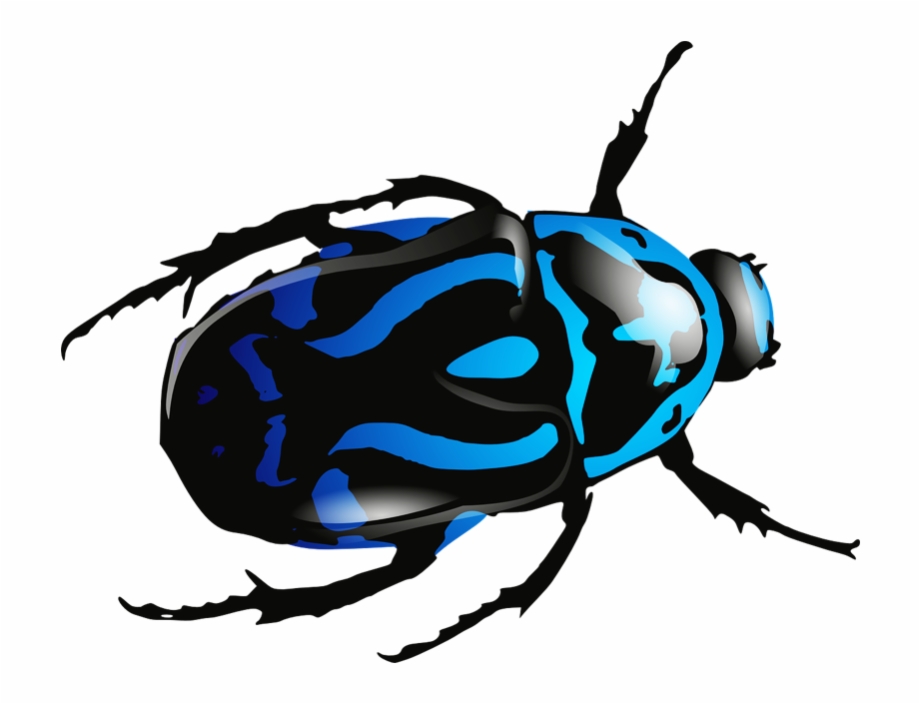 Blue Beetle Png Image Beetle Clip Art