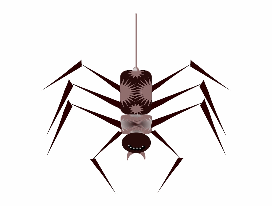 Cartoon Bugs Spider Bug Free Web Insect Insects