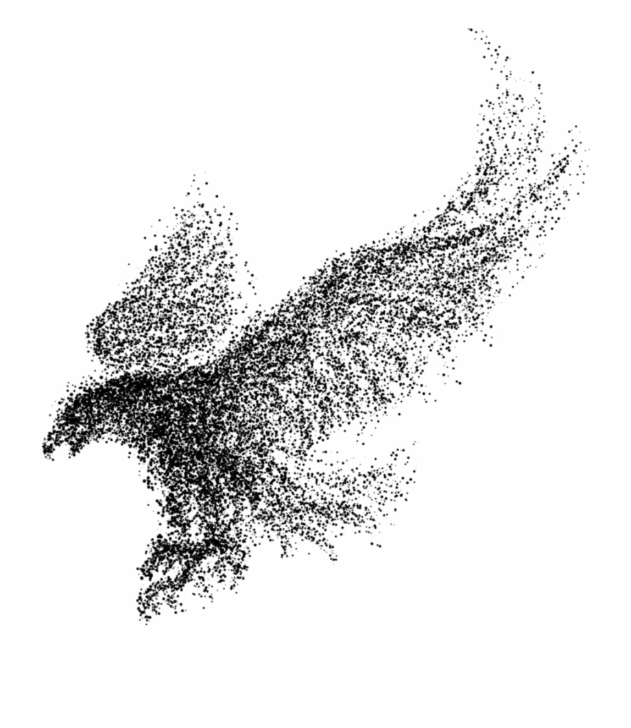 Mq Black Birds Bird Flying Raven Particle Eagle