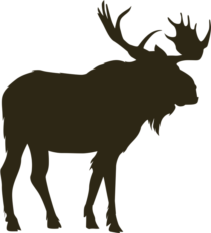 Horns Vector Eland Moose Vector