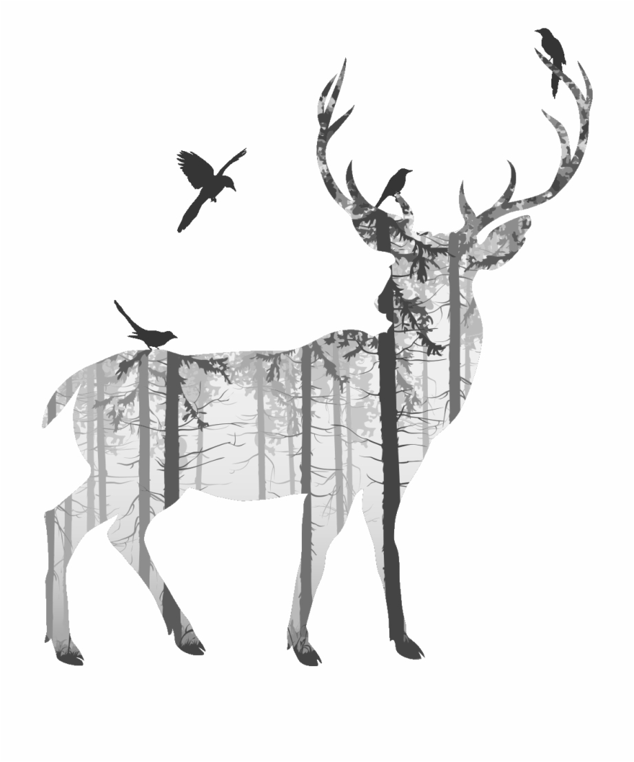 deer drawing
