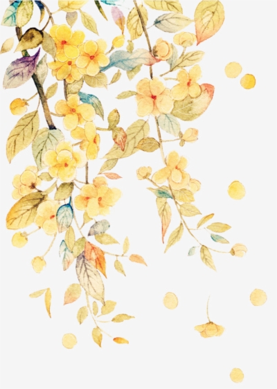 Yellow Flowers Png