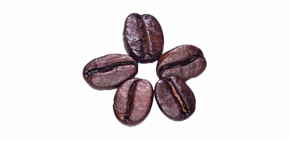 Coffee Beans Png Photo Png Coffee Bean Transparent