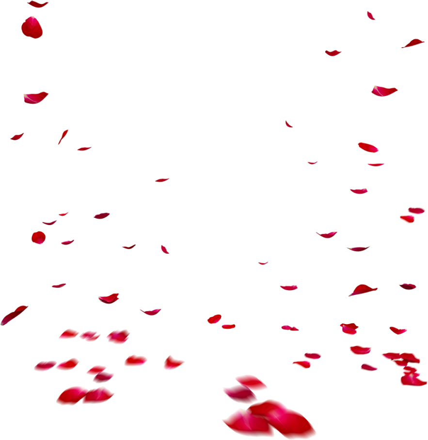 Falling Rose Petals Transparent Images Png Illustration