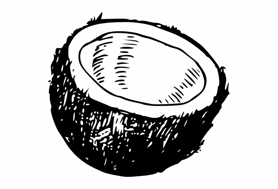 How To Set Use Coconut Svg Vector Coconut