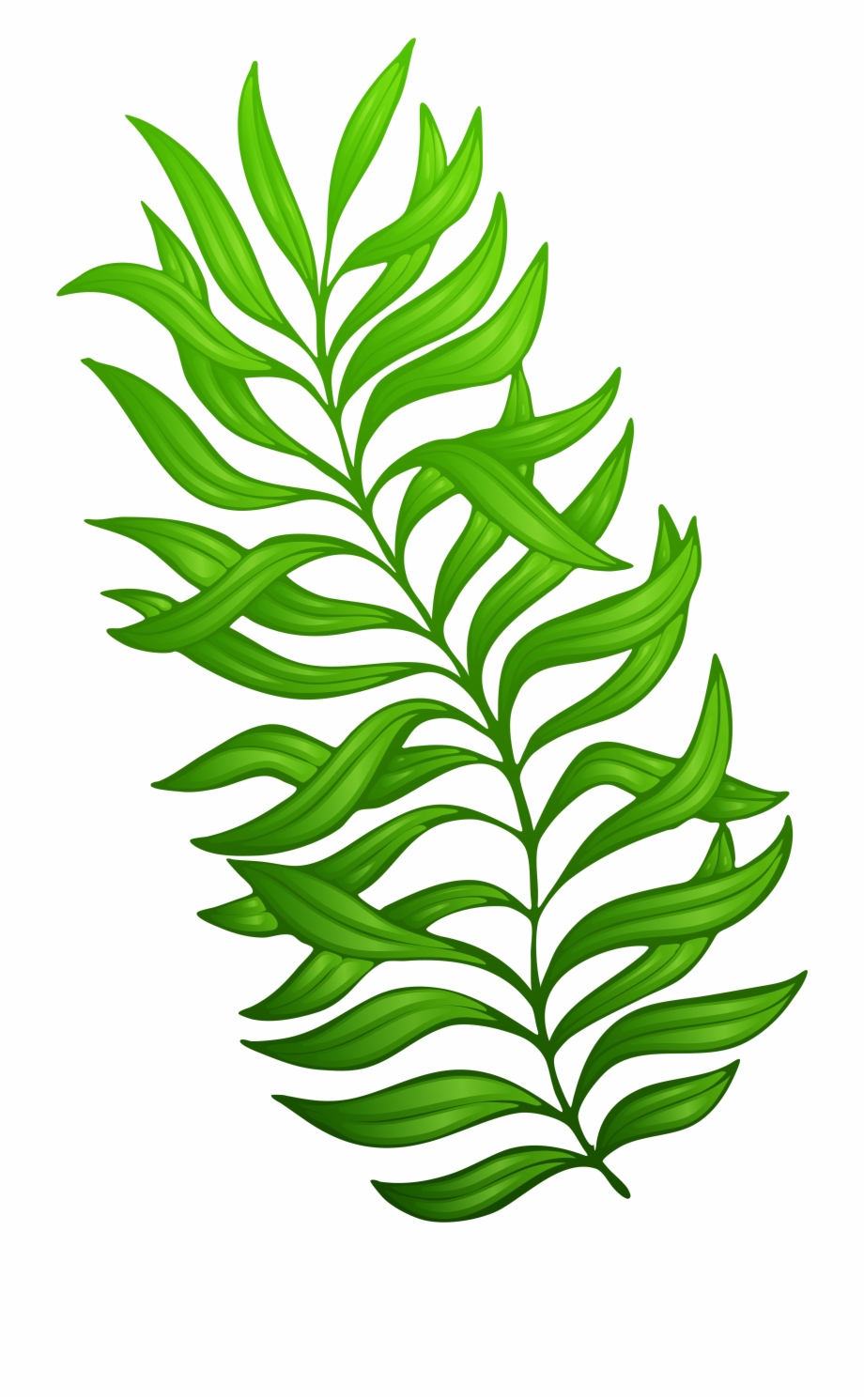 Exotic Green Plant Png Clipart Imageu200b Gallery Yopriceville