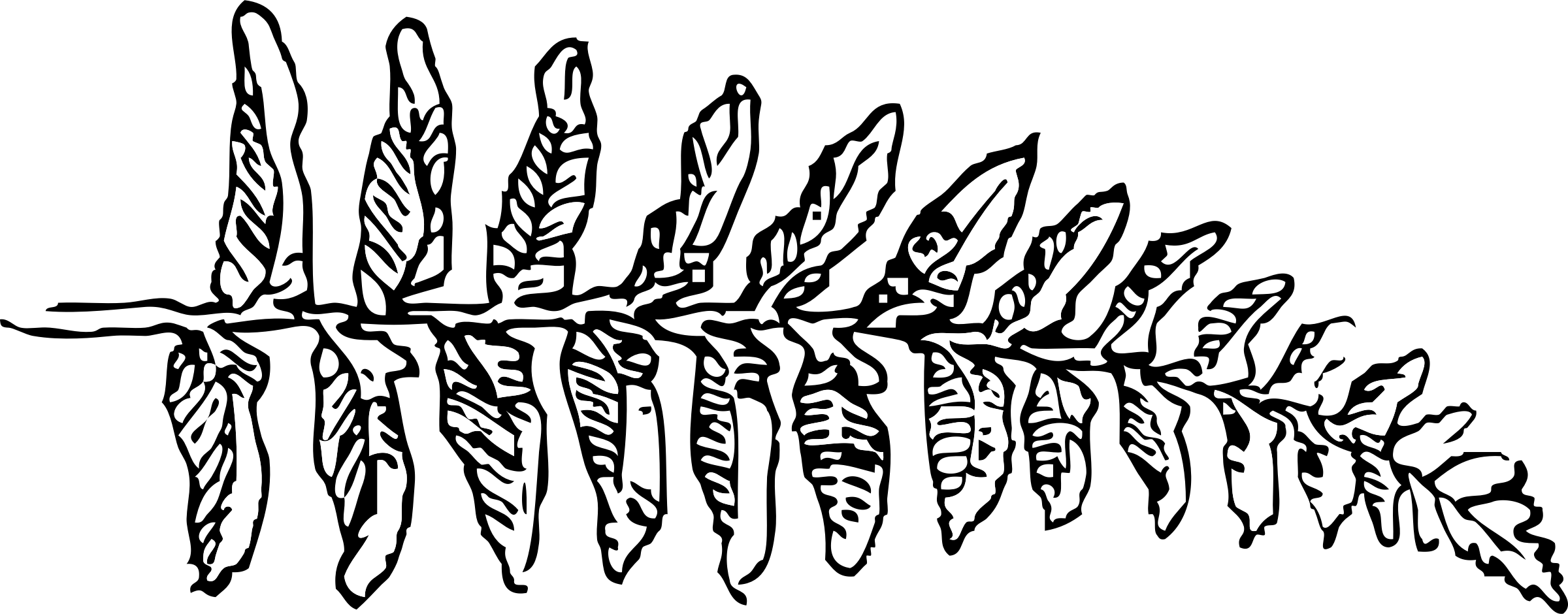 This Free Icons Png Design Of Fern Branch