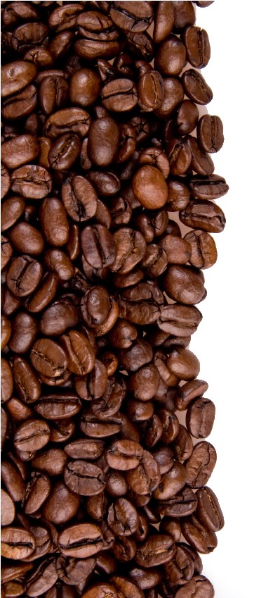Png Image Purepng Free Coffee Beans Png High