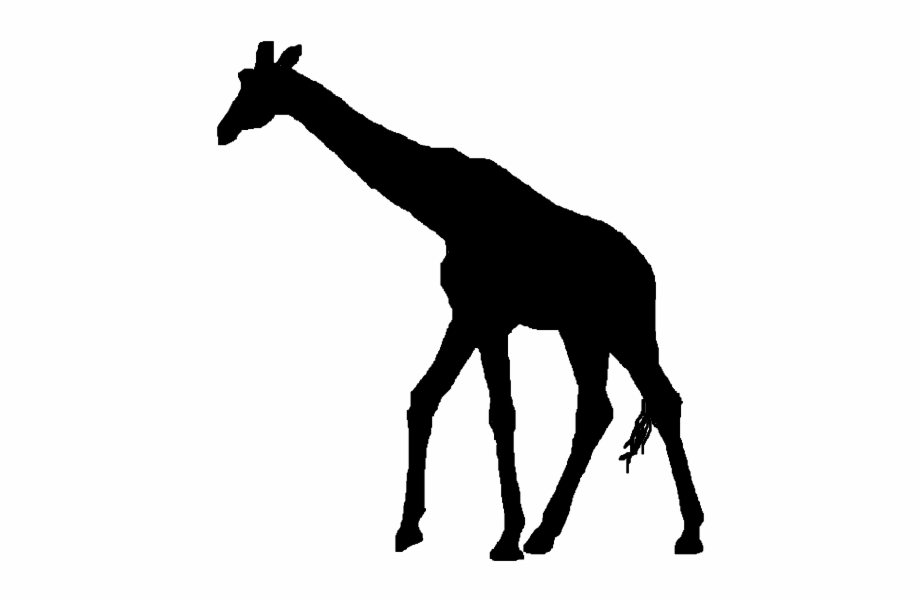 giraffe silhouette clipart
