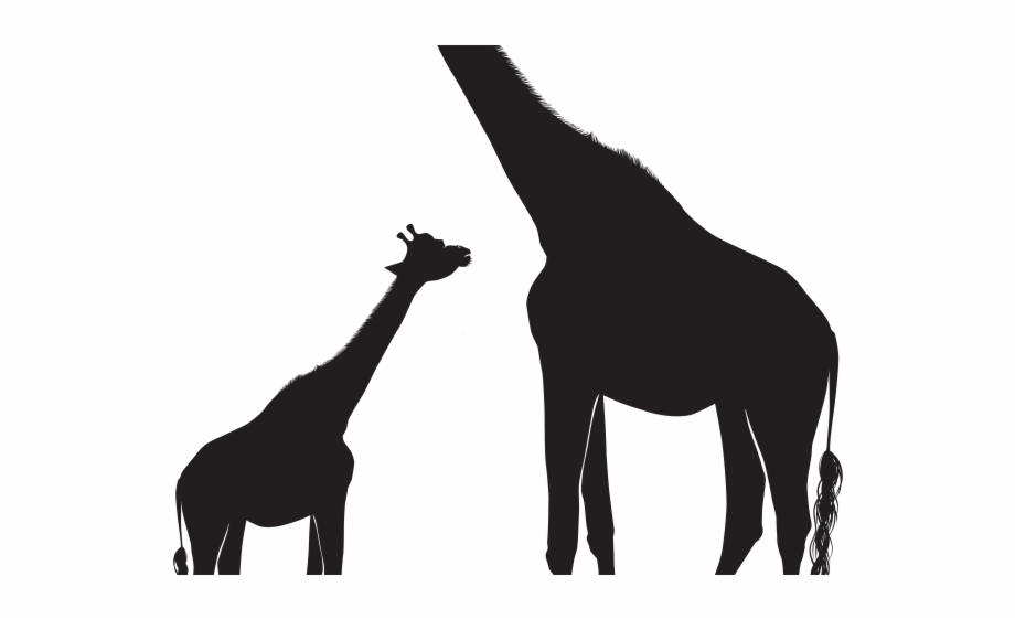 giraffe and baby silhouette
