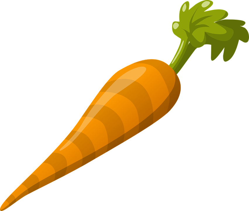 carrot clipart transparent
