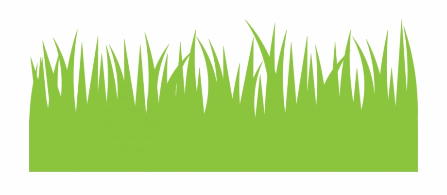 Easter Grass Png Image Grass Clipart
