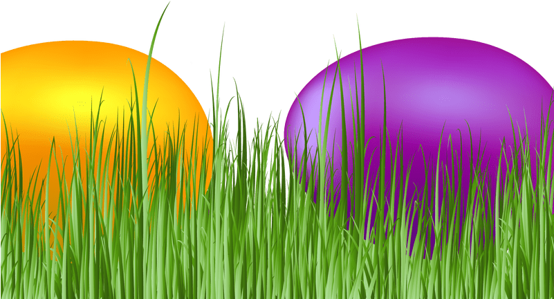 Easter Grass Eggs Png Download Image Grass