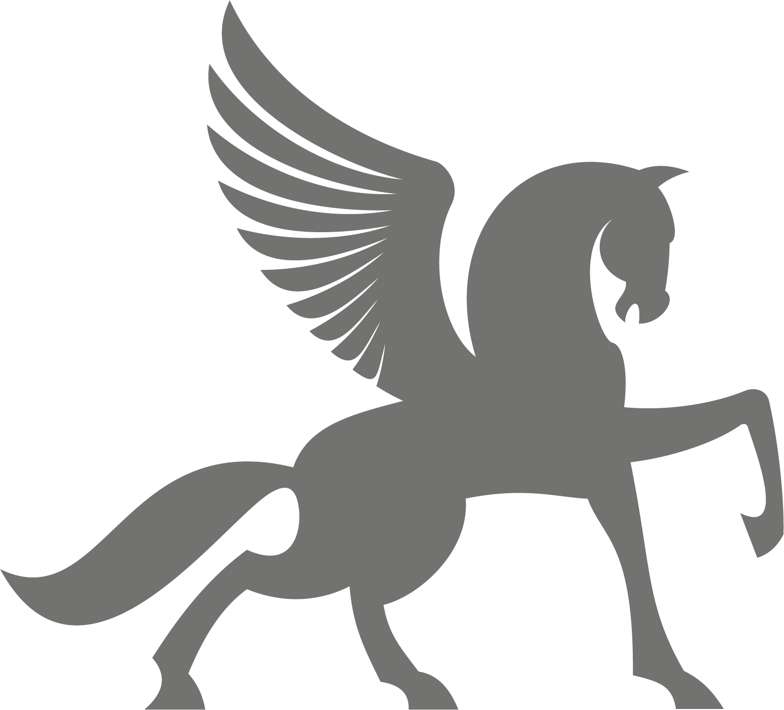 Pegasus Fire And Security Vector Graphics