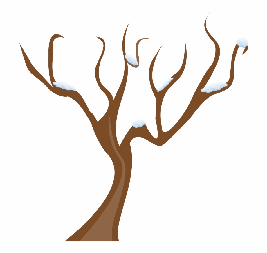 Banner Transparent Stock Clipart Tree Branch Trees Without