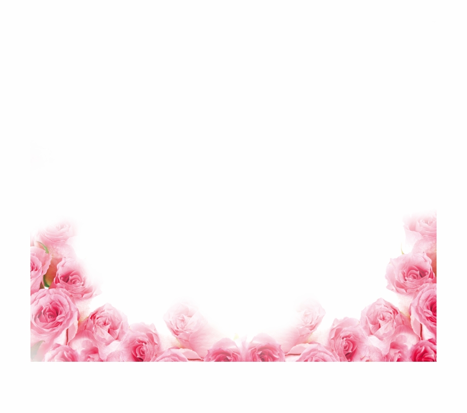 Pink Rose Border Pink Rose Petals Png Clip Art Library