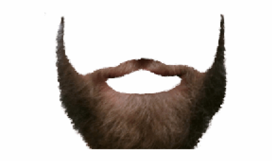 Free Facial Hair Png, Download Free Facial Hair Png png images, Free  ClipArts on Clipart Library