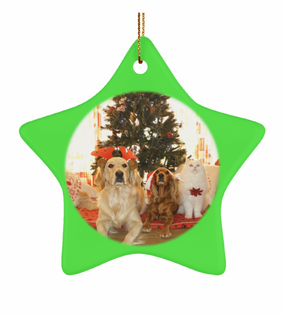 Pet Christmas Tree Ornament Cat Gift Crafted Holiday