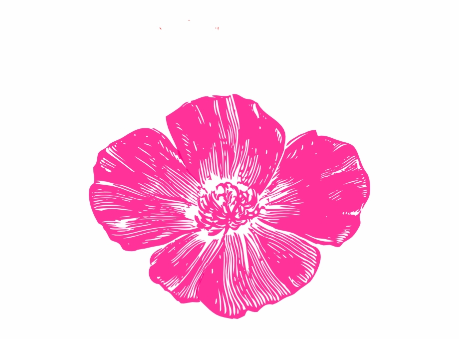 Hot Pink Flowers Png